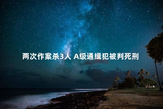 两次作案杀3人 A级通缉犯被判死刑